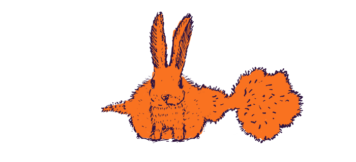 lapin1.png